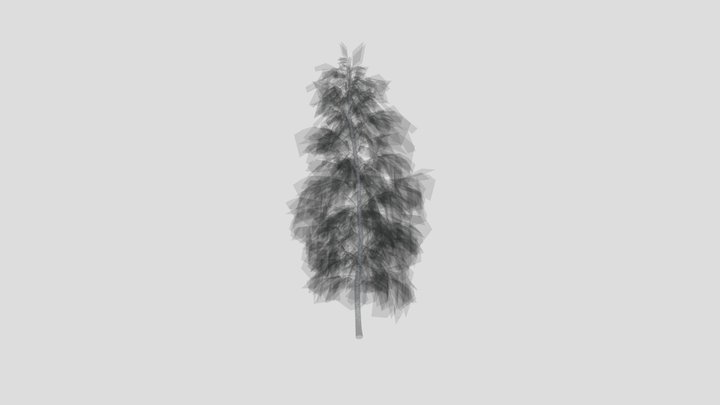 Slender Tall Birch Tree – Modèle 3D gratuit STL