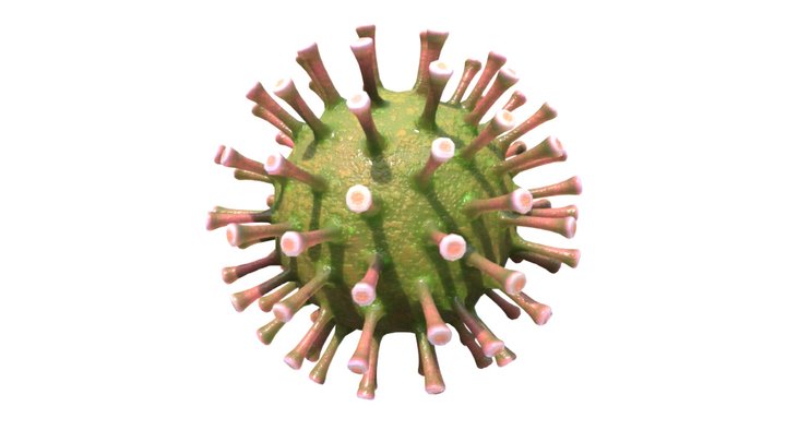 Corona Virus Covid 19 3D Model
