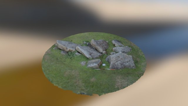 Little Kits Coty 3D Model