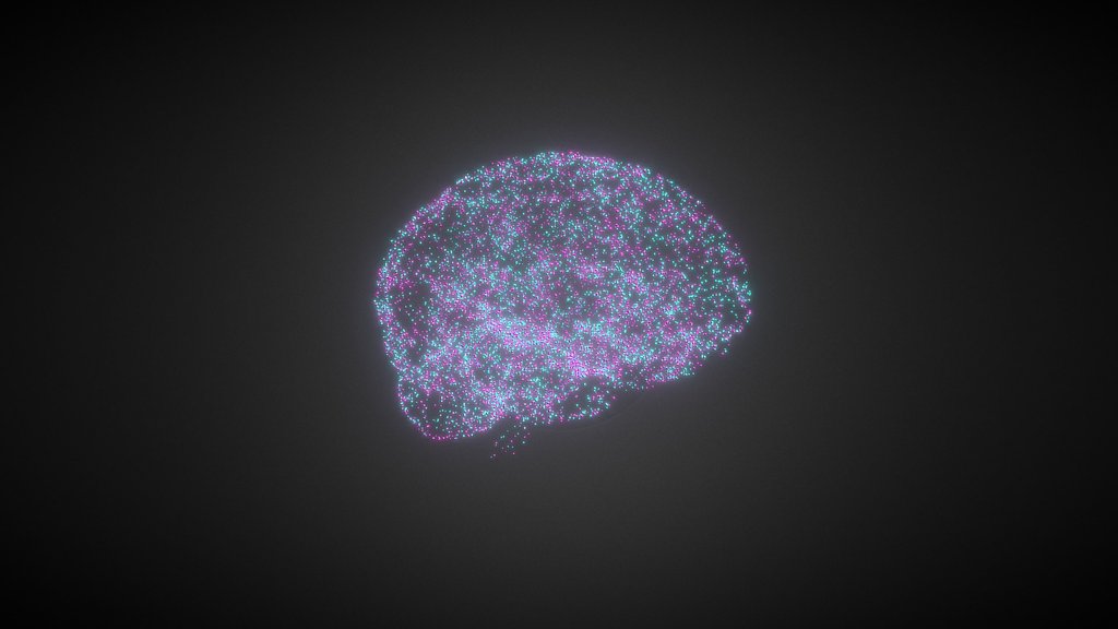 Brain hologram