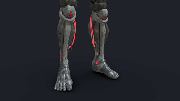 Wanderer's Mechanical Legs 3D Model