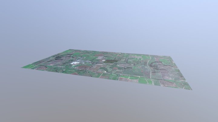 Solar Panel Field 3D Model