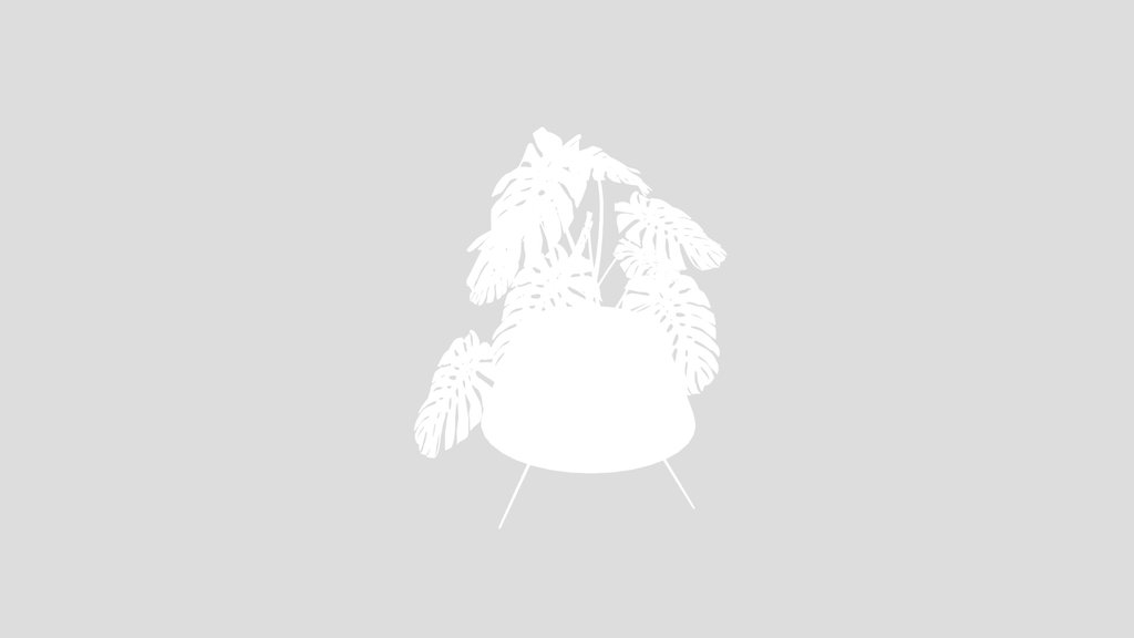 Monstera Plant Pot