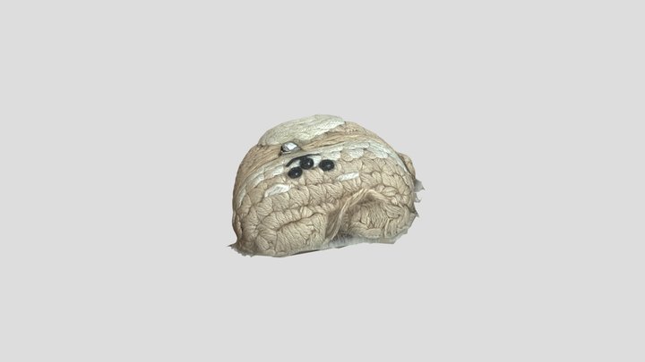 airpods 3D Model