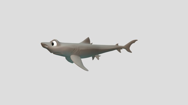 Anxious Shark 3D Model