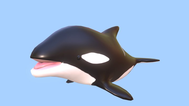 Killer? whale 3D Model