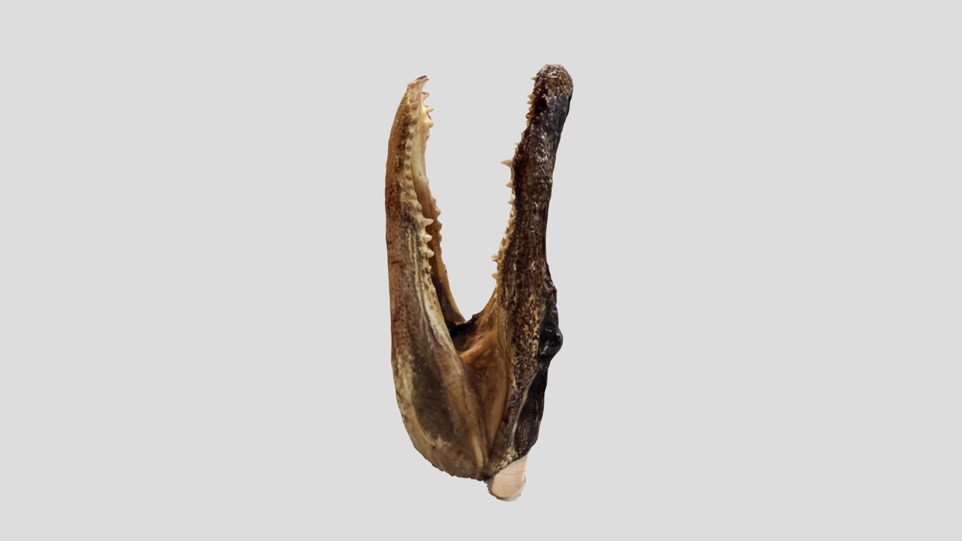 althegater1