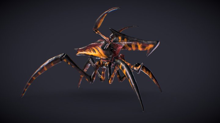 Z-Warrior - Práctica 3D Model