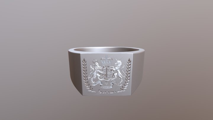Tom's signet ring 3D Model
