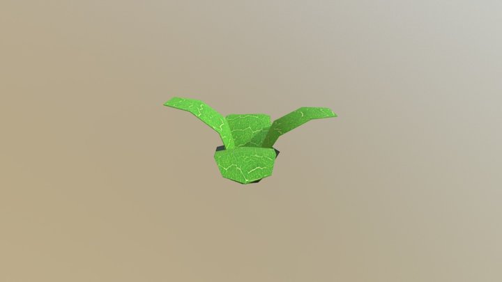 Plant2 3D Model
