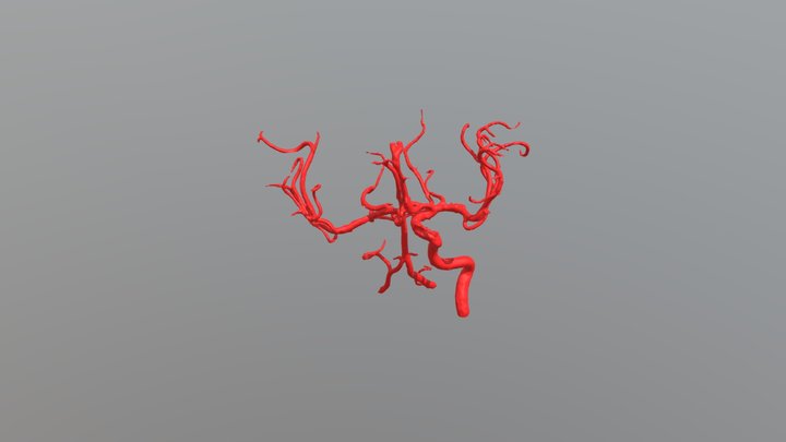Blood Vessel 3D Model