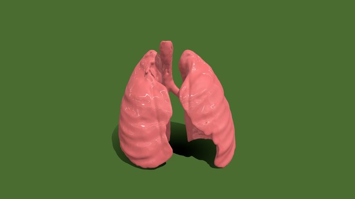 Segmentation_Lungs 3D Model
