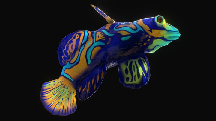 Secondary fish 3D Model