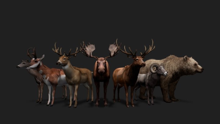 Realistic Animals PACK