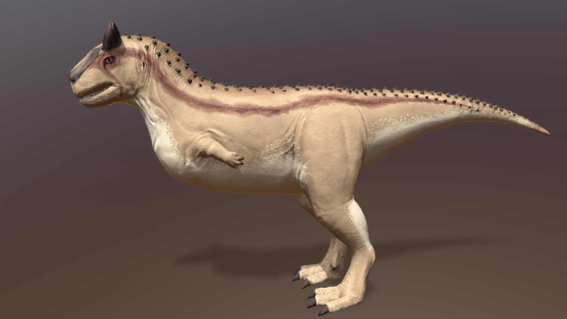 Carnotaurus - 3D model by cafnir [09f7544] - Sketchfab