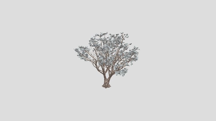 Tree Red Coral B1 – Free 3D Model STL