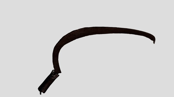Sierp z organiczną rękojeścią z Czermna 3D Model