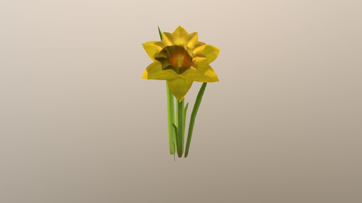 Daffodil 01 3D Model