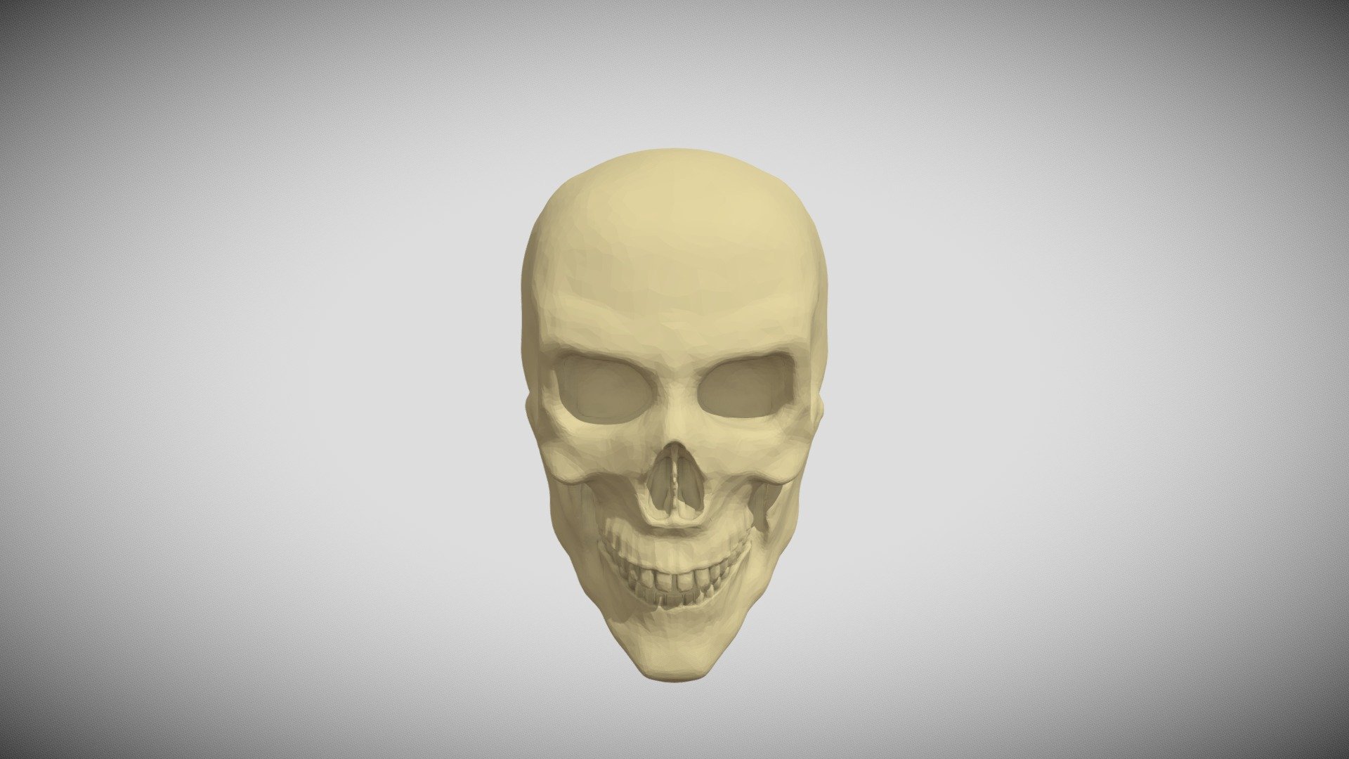 Male skull - Download Free 3D model by Darvida [09ff44f] - Sketchfab