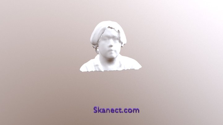 New Skanect Model 3D Model