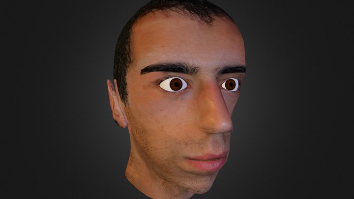 Own Face 3D Model