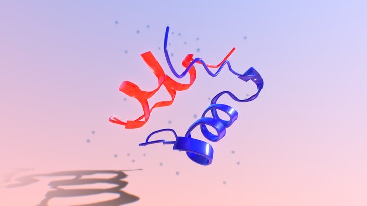 Human Insulin Structure