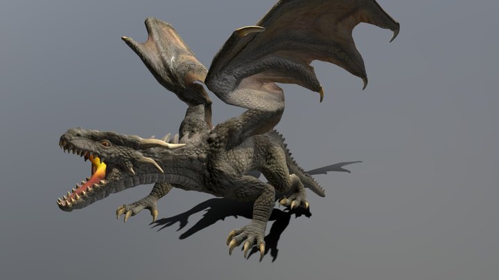 Mountain Dragon