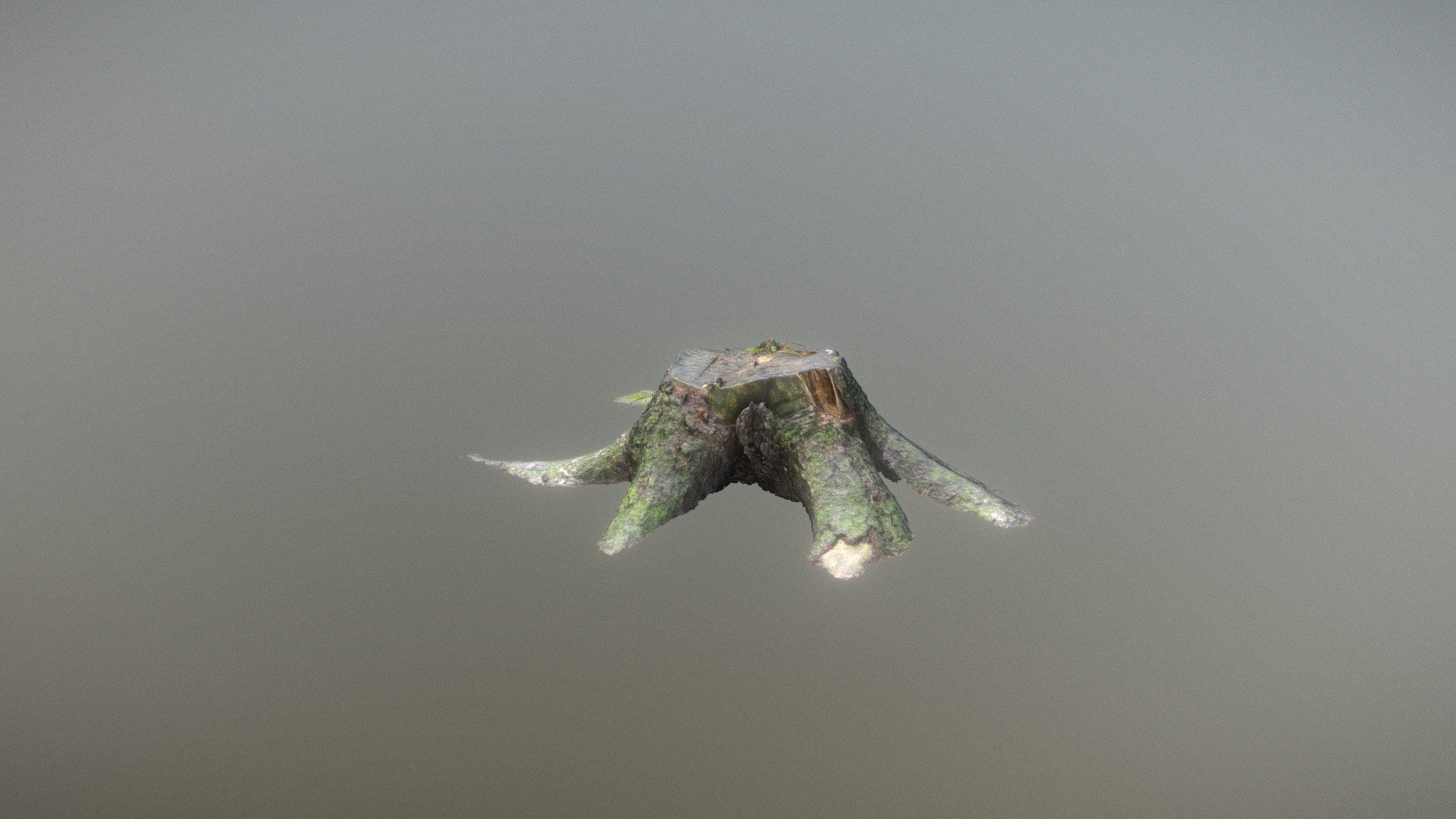 Stump