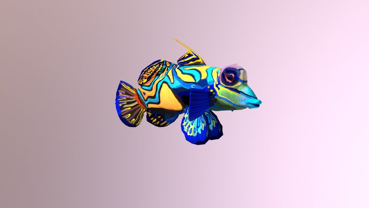 Mandarin Fish / Goby Mandarin 3D Model