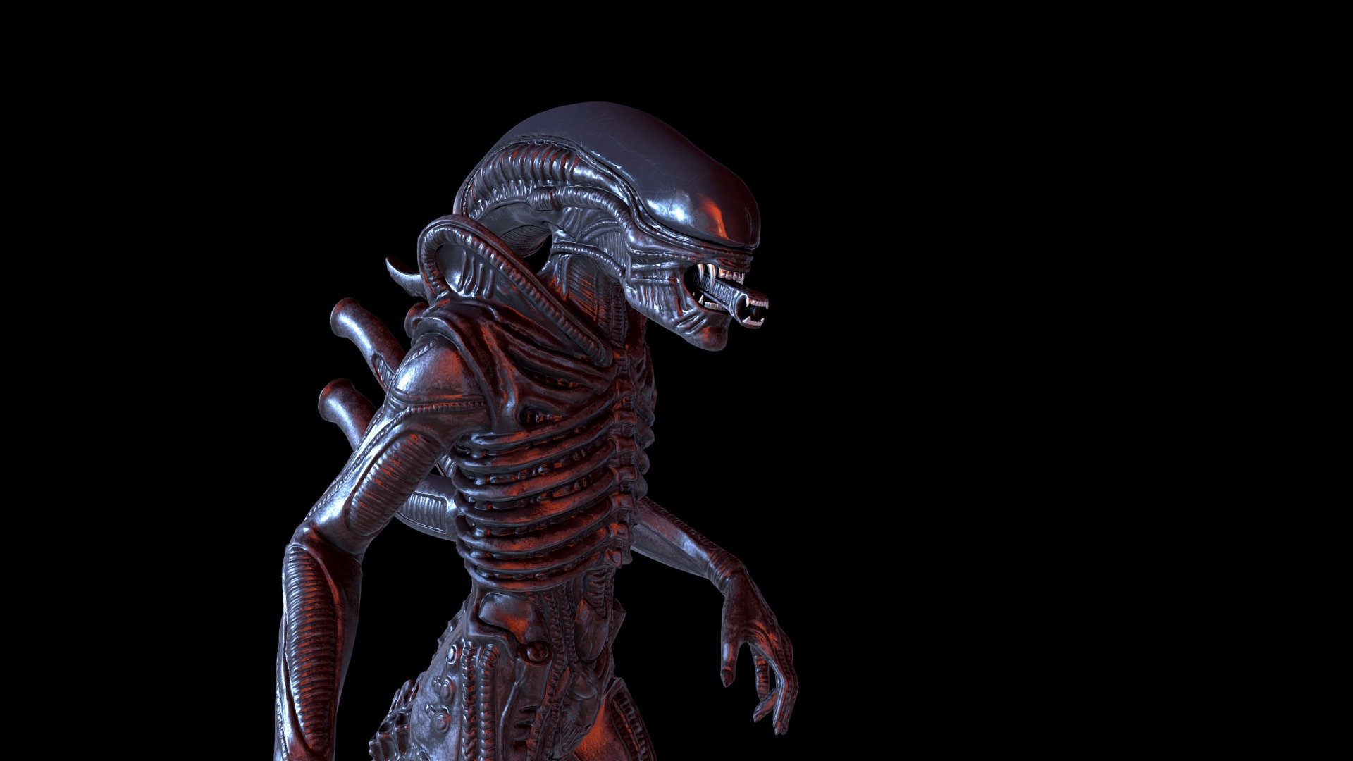 Alien Xenomorph 3d Model