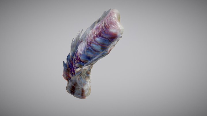 Katazi Worg Worm 3D Model