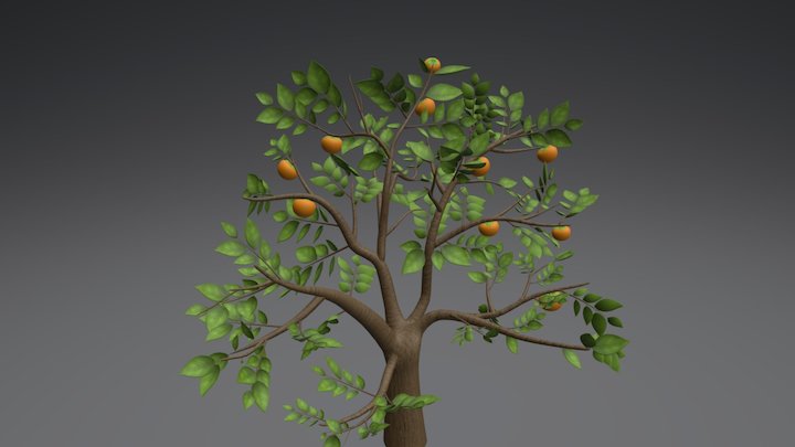 Persimmon Tree 3D Model