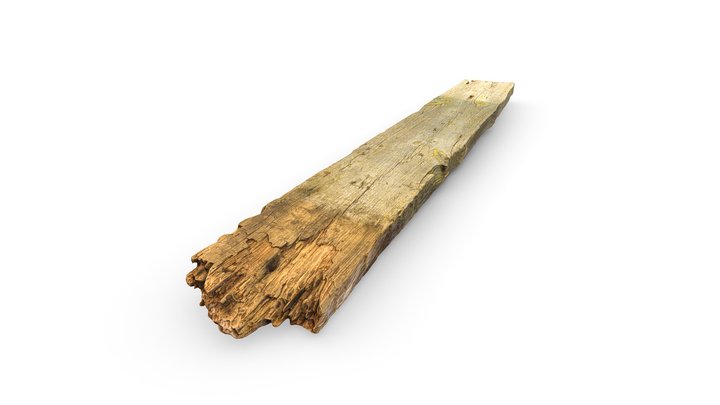 Rotten Board 3D Model