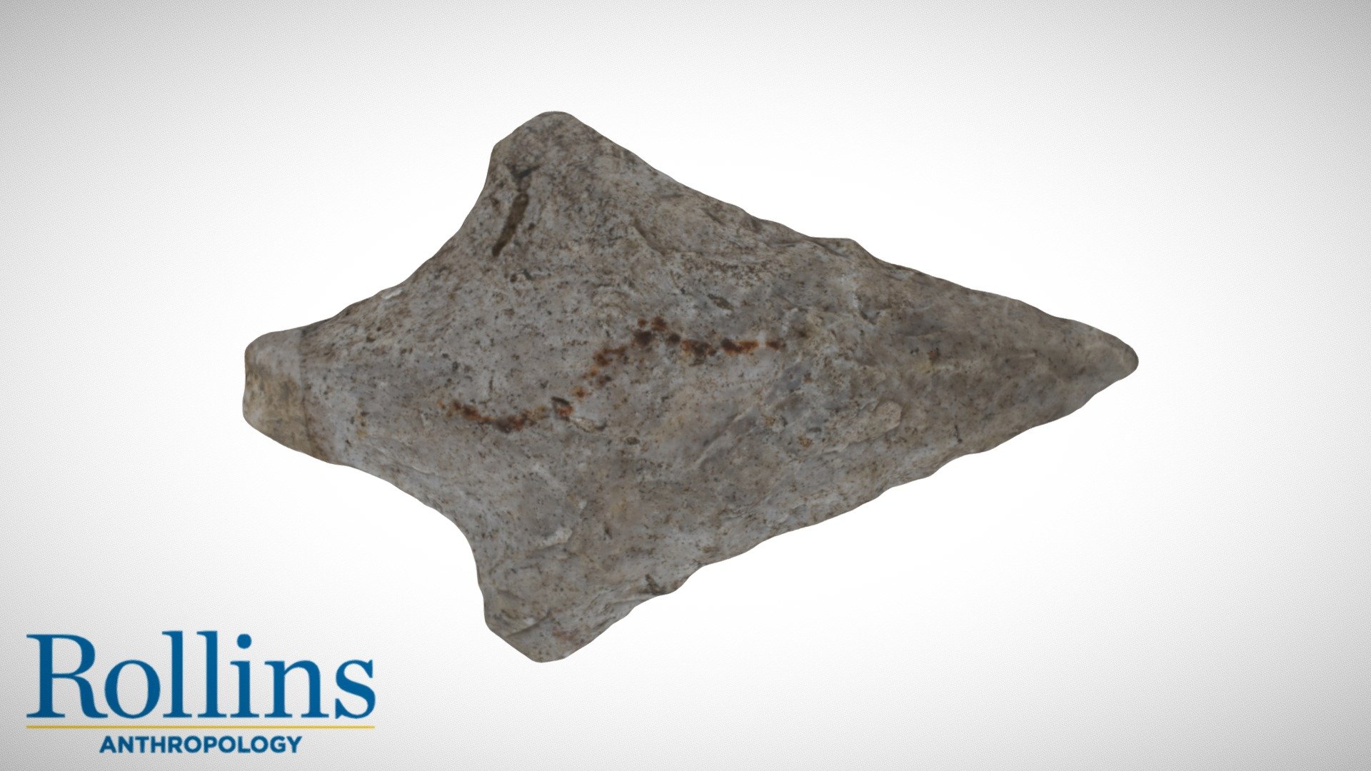 Archaic Stemmed Point - 3D model by Rollins College Archaeology ...