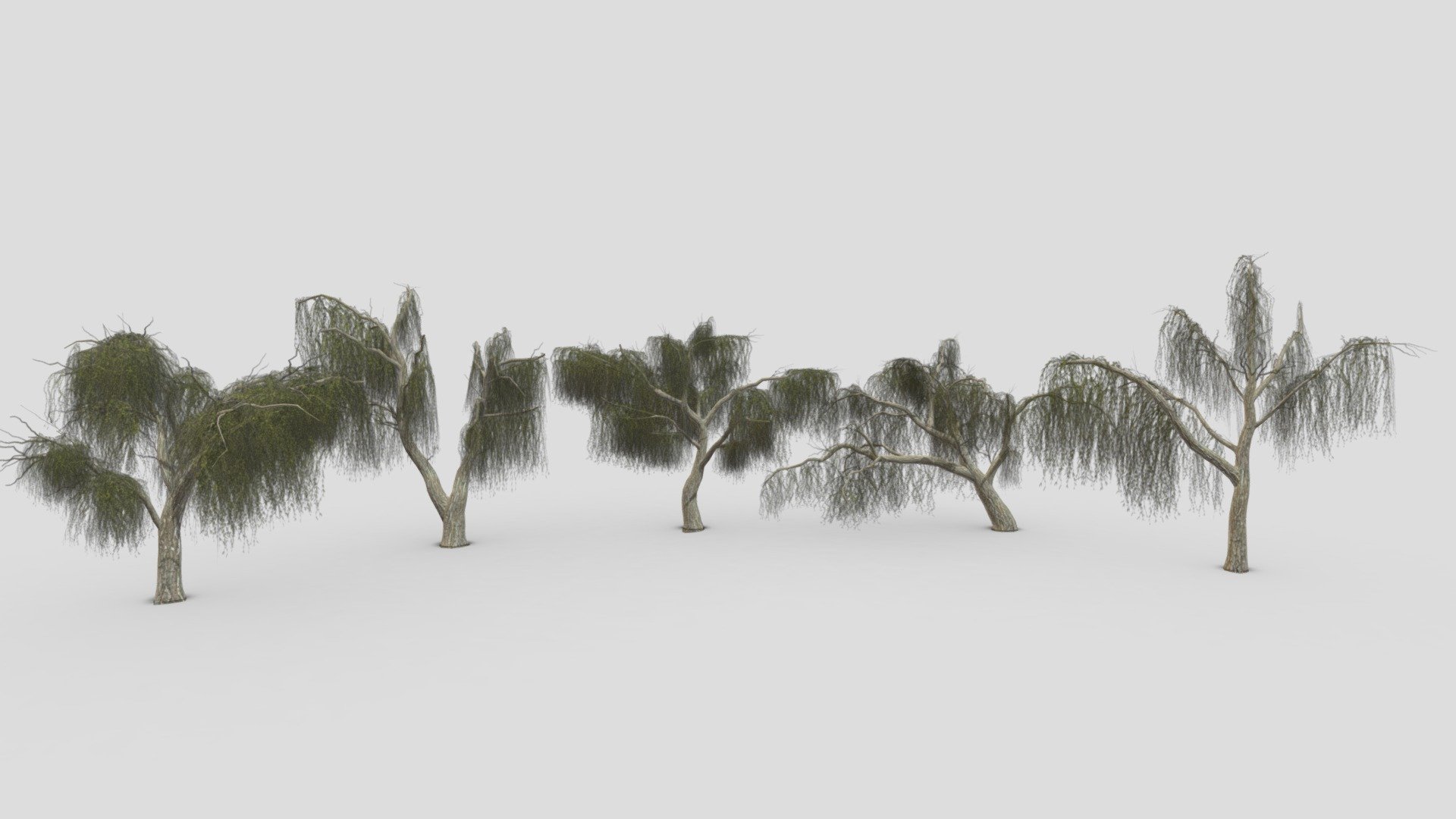 Weeping Willow Tree Pack-P3 - Buy Royalty Free 3D model by ASMA3D ...