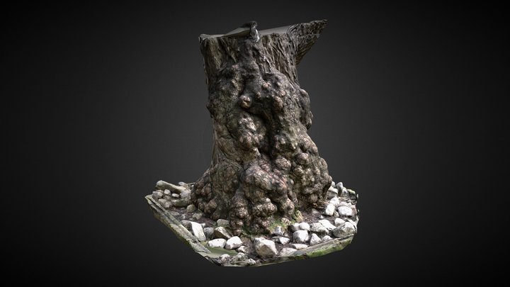 Tree Trunk 1 3D Model