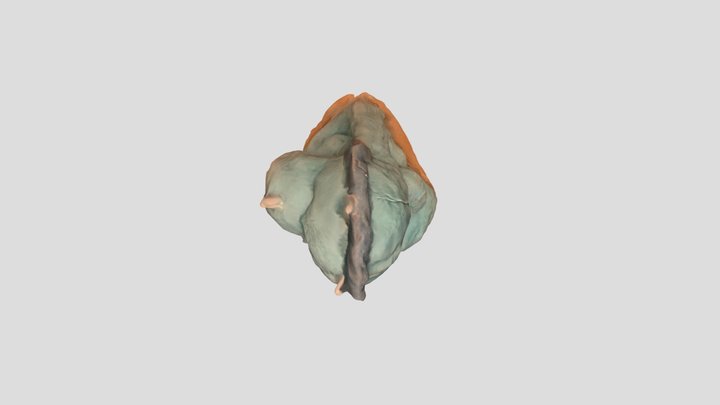 My impressive 3D asset 3D Model