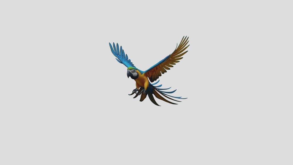 Macaw+3d+model