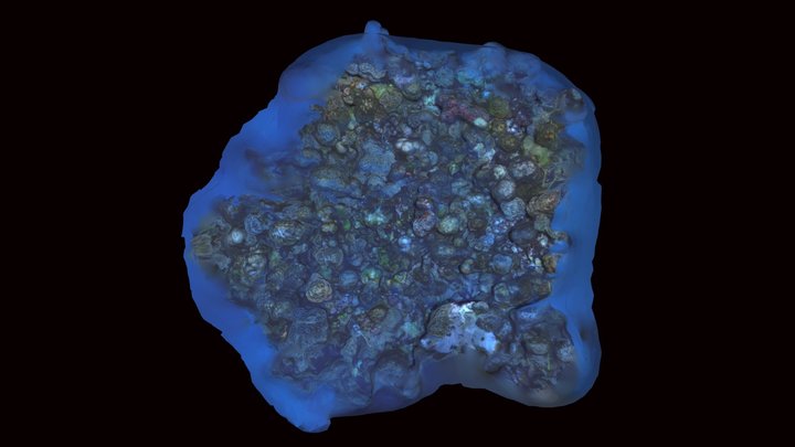 20221101 Pan de Azucar Somero - Julia 3D Model