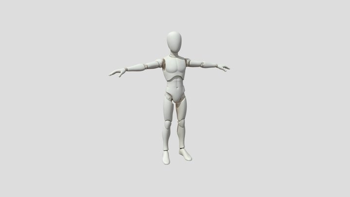 Test player 3D Model