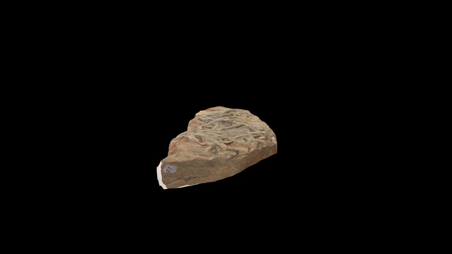 Jurassic invertebrate trace fossils