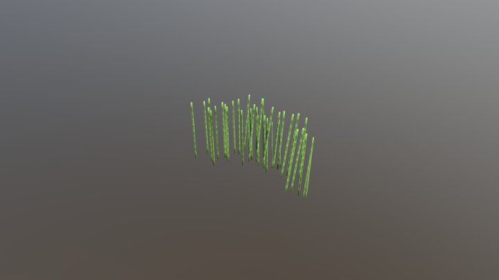 Bamboo 3D Model