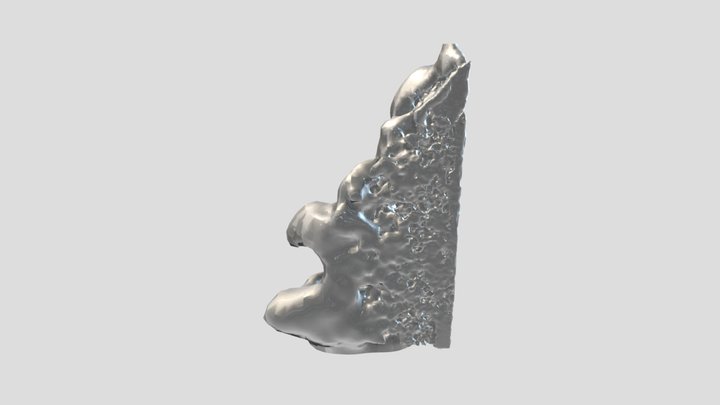 Riot Organs 3D Model