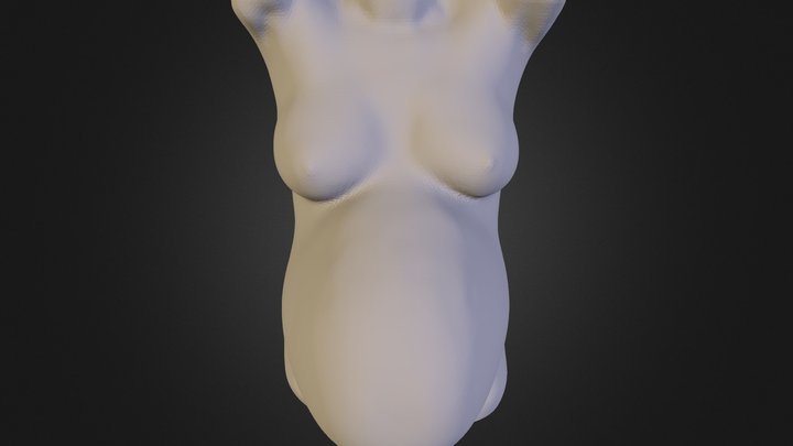 PregnantWoman 3D Model