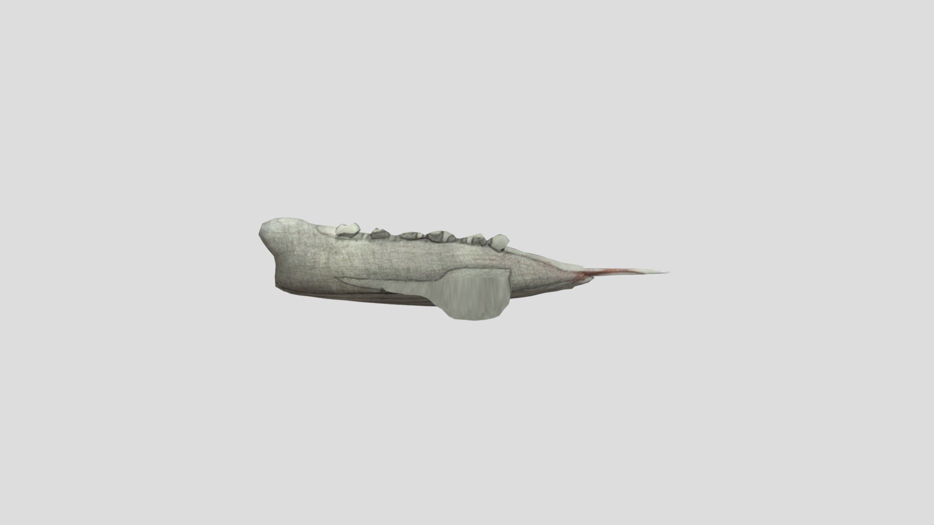 Model 281998689708
