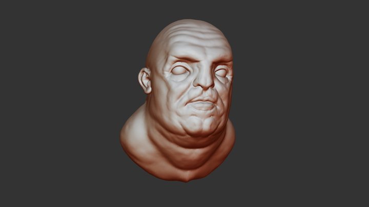 Sculptris - Humanoid head 3D Model