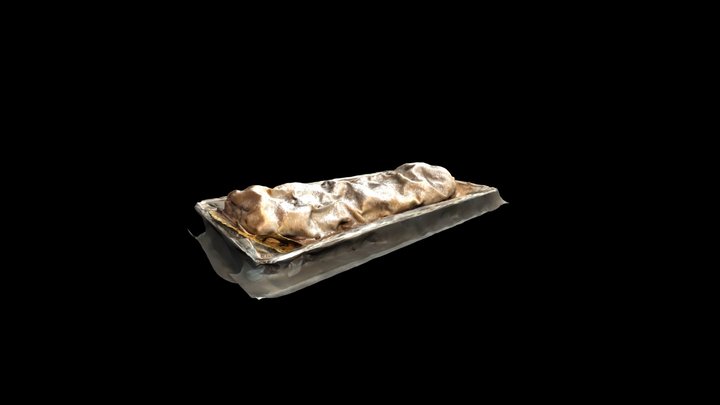 STRUDEL 3D Model