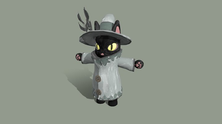 Wizard cat 3D Model