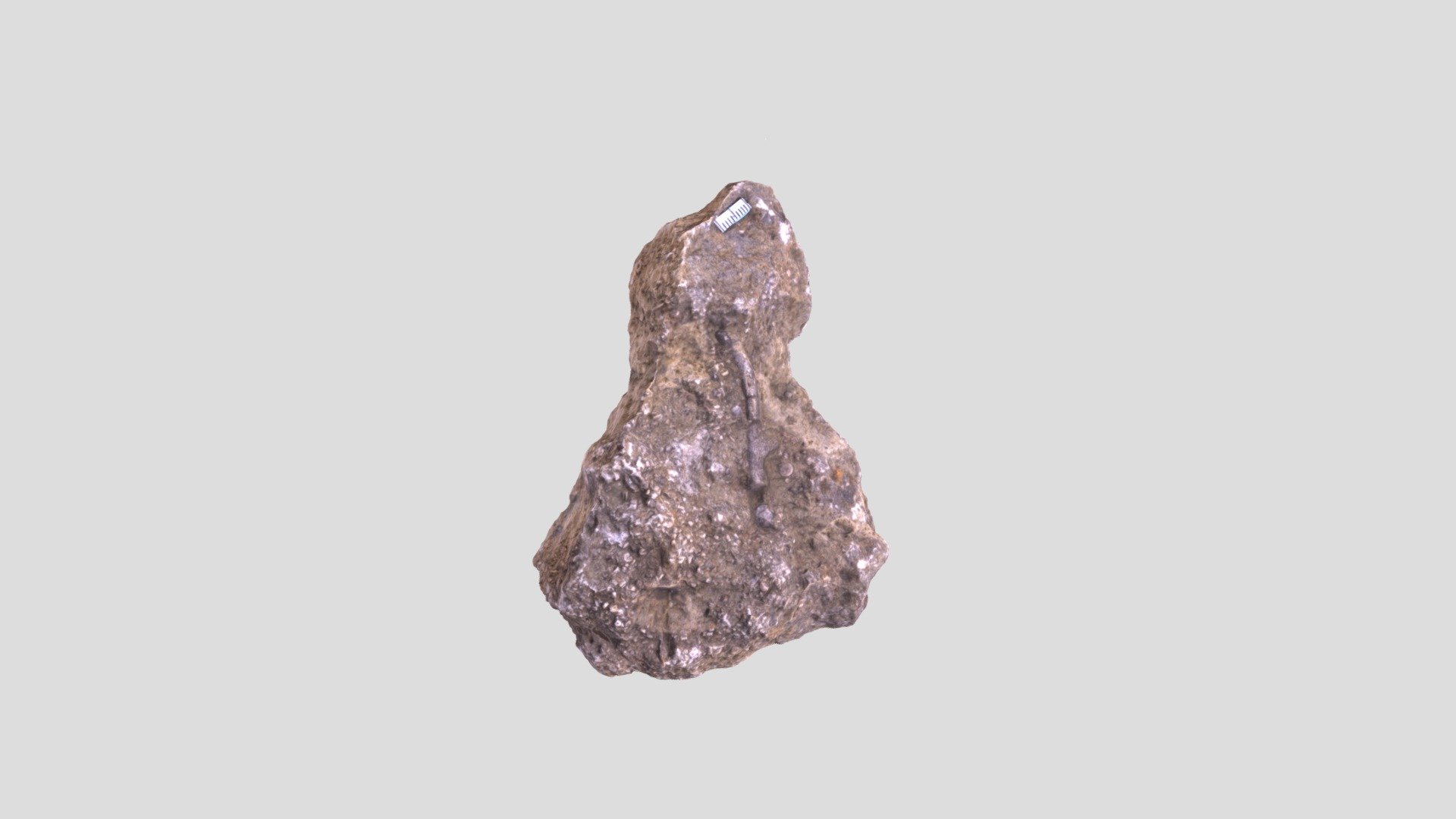 Sample 12