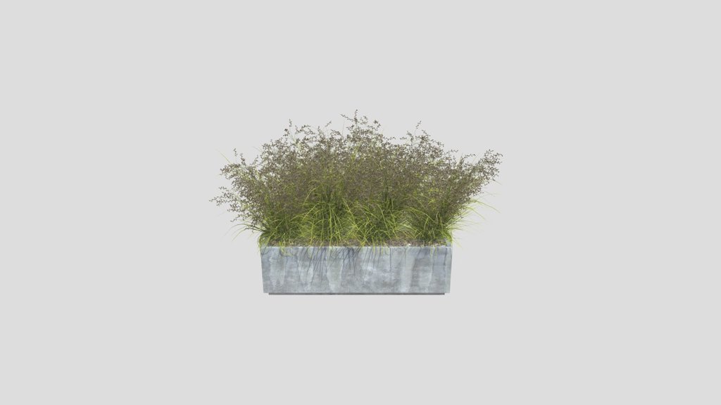 Autumn Breeze Ornamental Grass Planter